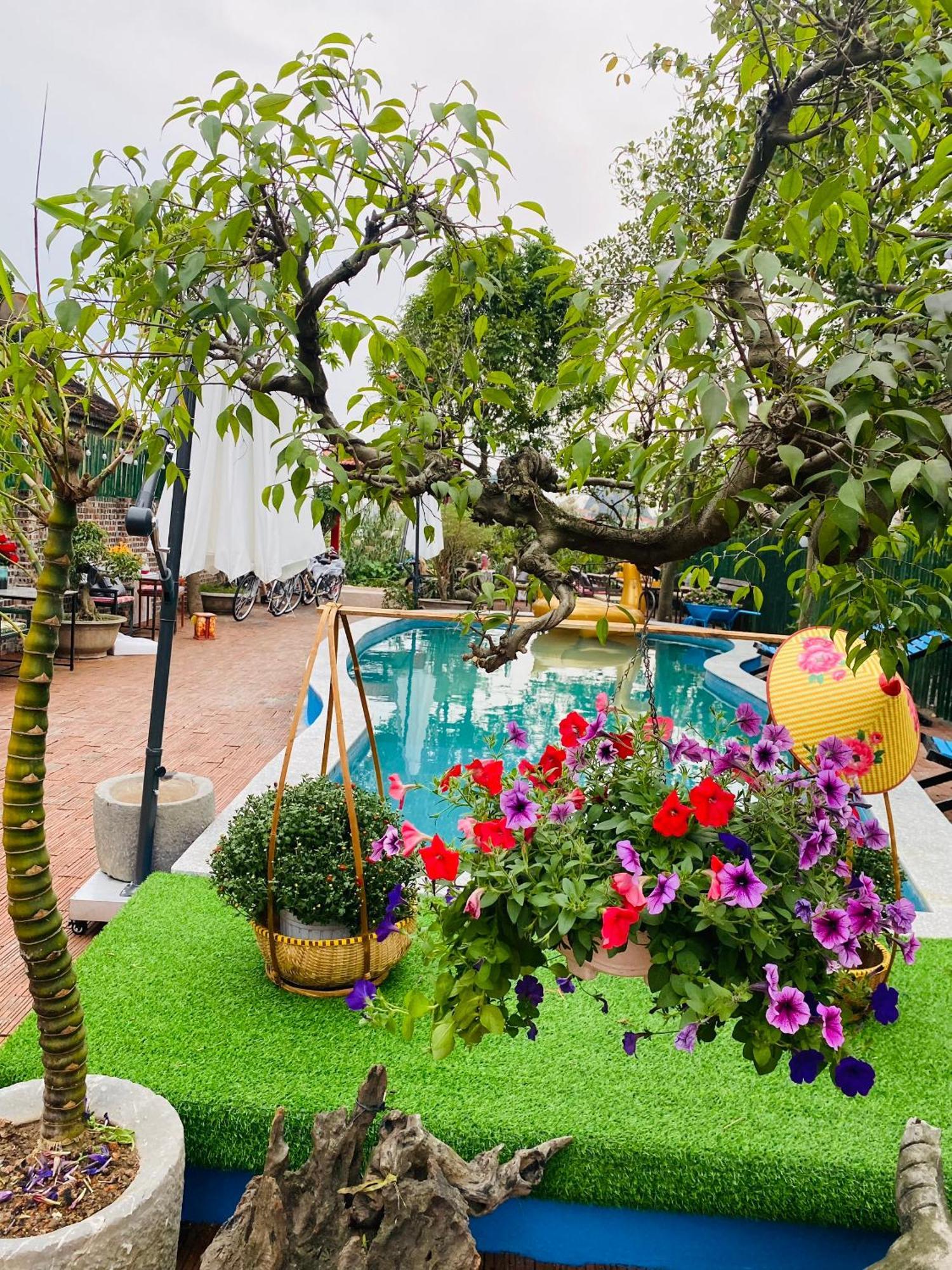 An Homestay Tam Coc Ninh Binh Exterior photo